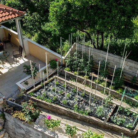 Отель House Ina Стон Экстерьер фото